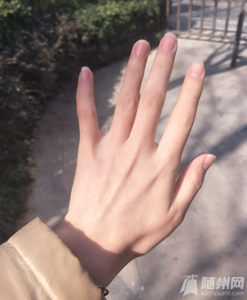 1548376952646619.png