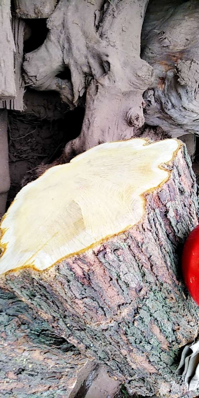 20190125_17183268_1548394798314.jpg