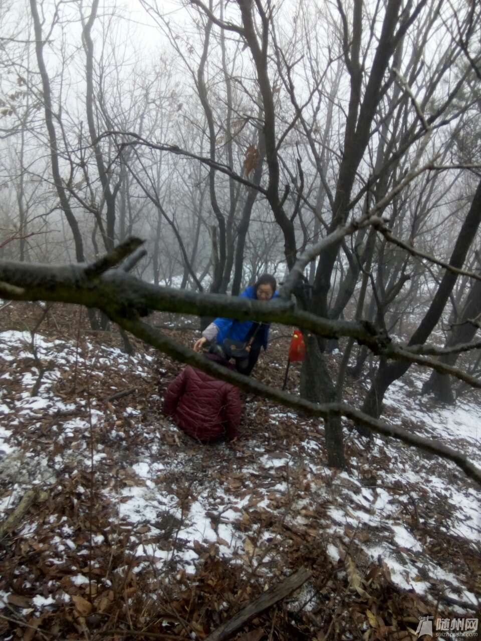 20190212_17113568_1549953693874.jpg