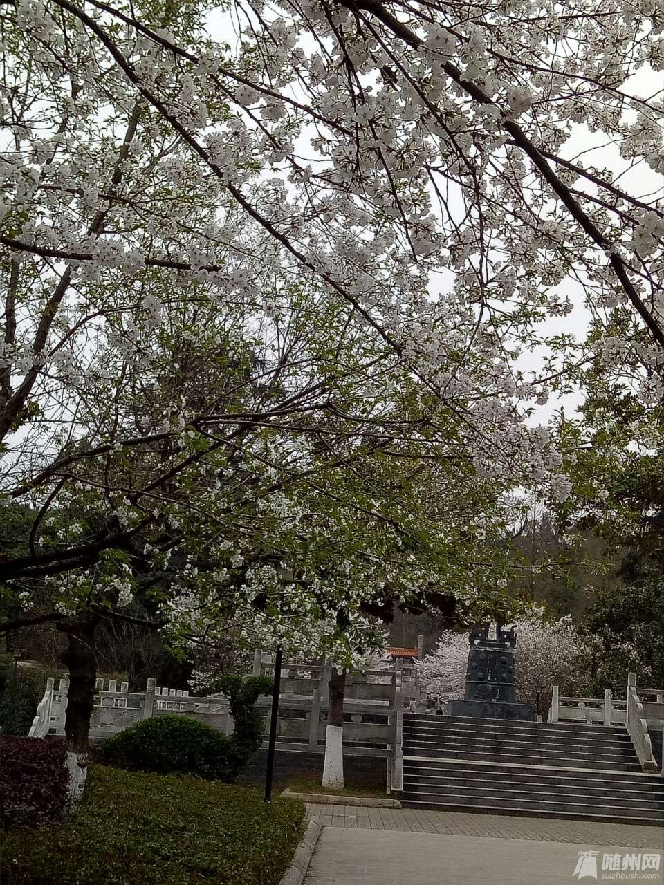 20190322_17074615_1553259404441.jpg
