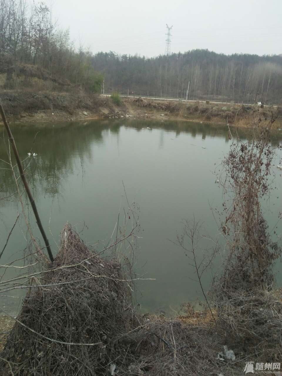20190407_17106923_1554606396526.jpg