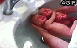 15561579349528.gif