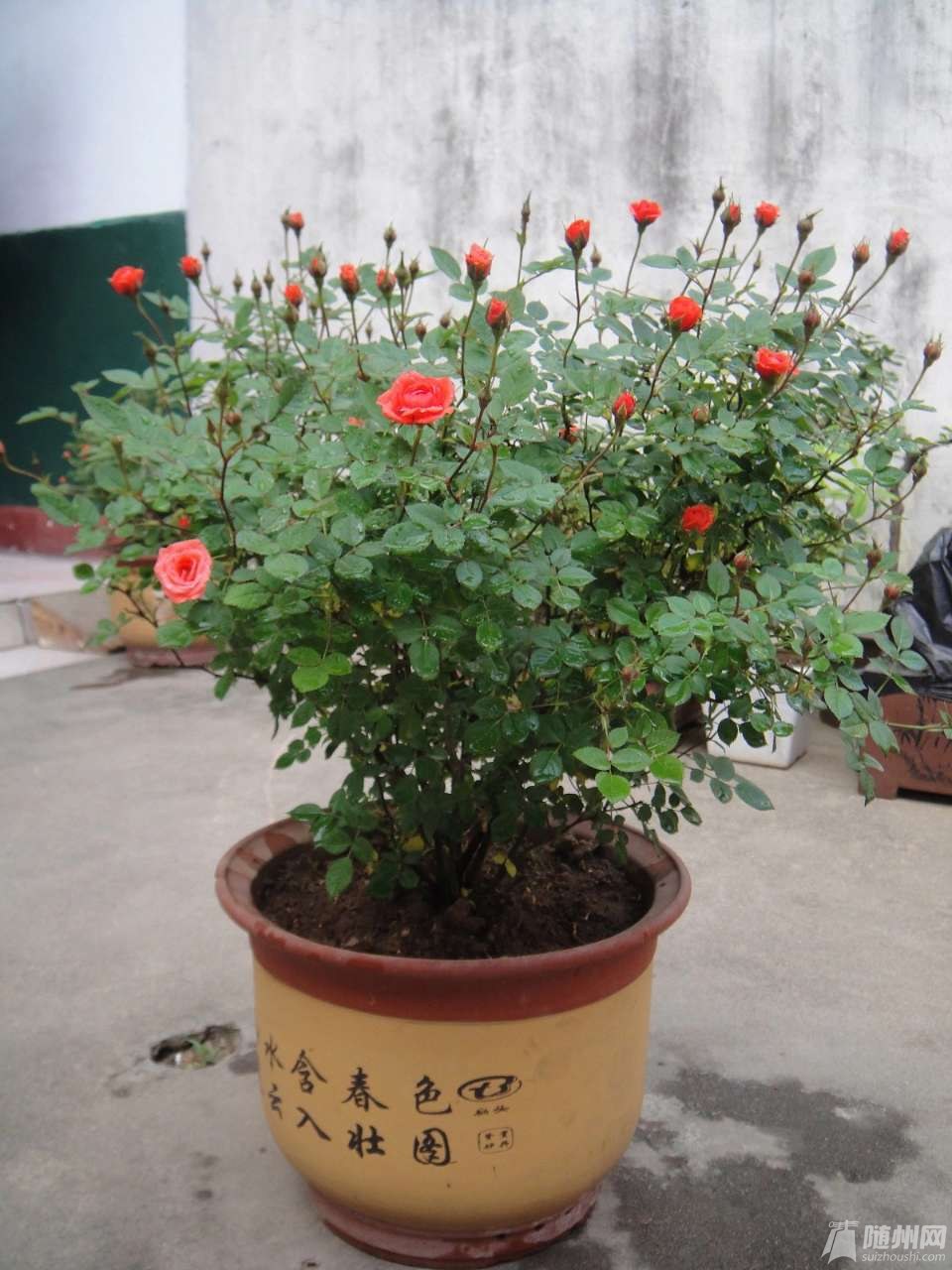 20190425_17198641_1556179073394.jpg