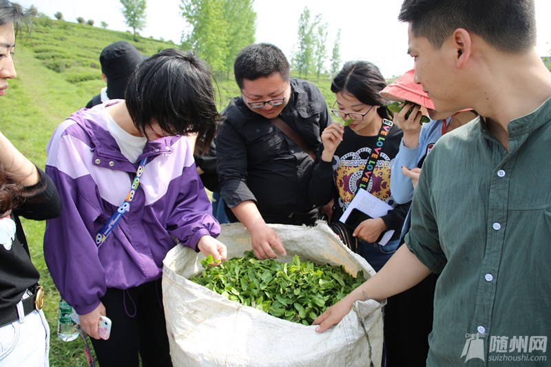 3B5A9784_副本.jpg