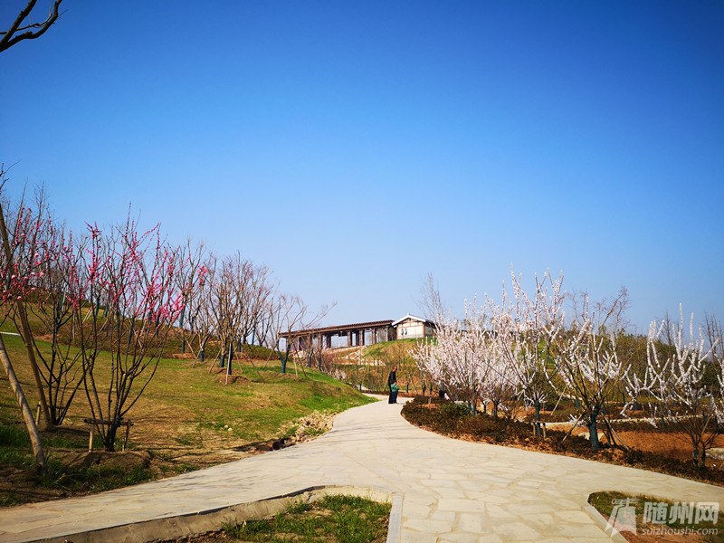微信图片_20190427161339_副本.jpg