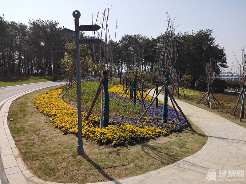 微信图片_20190427161355_副本.jpg