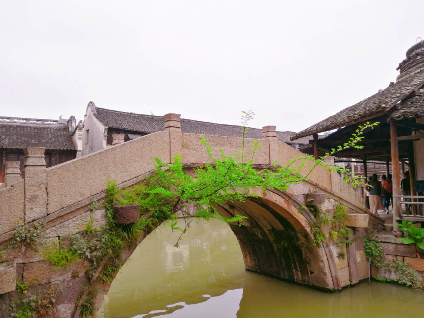 微信图片_20190508105206.jpg