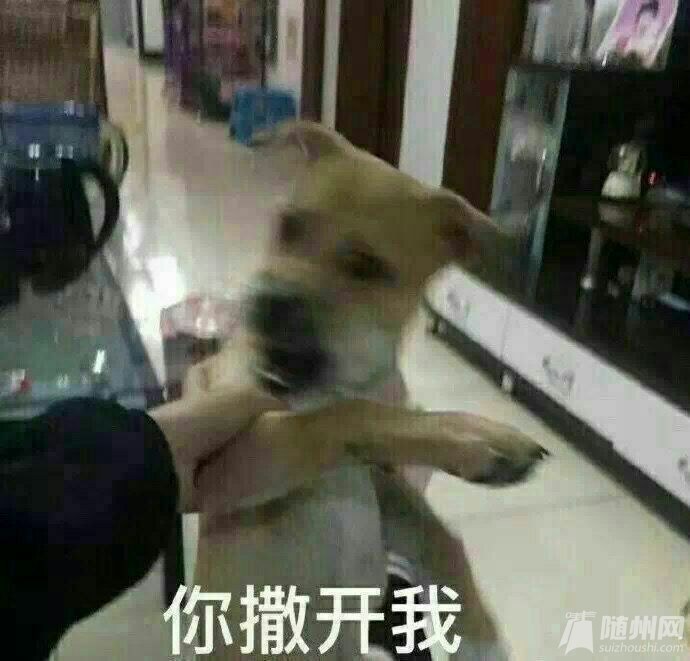 1557365298931282.jpg