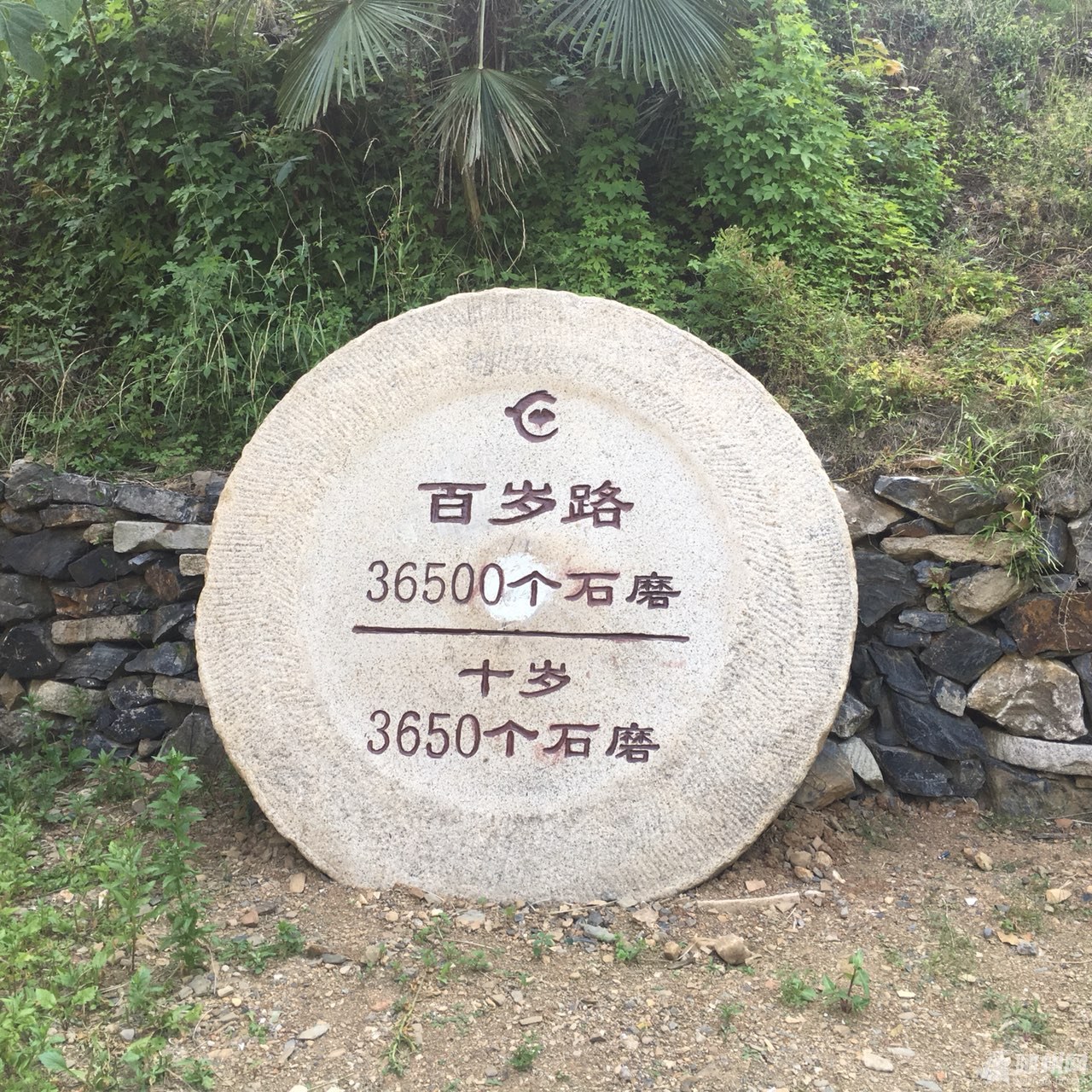 20190523172148761558597503250294.jpg