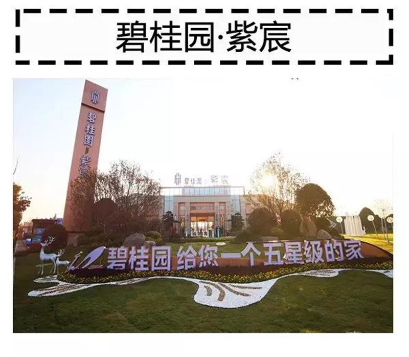 11_副本.jpg