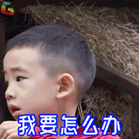 20190607_17200967_1559913266531.gif