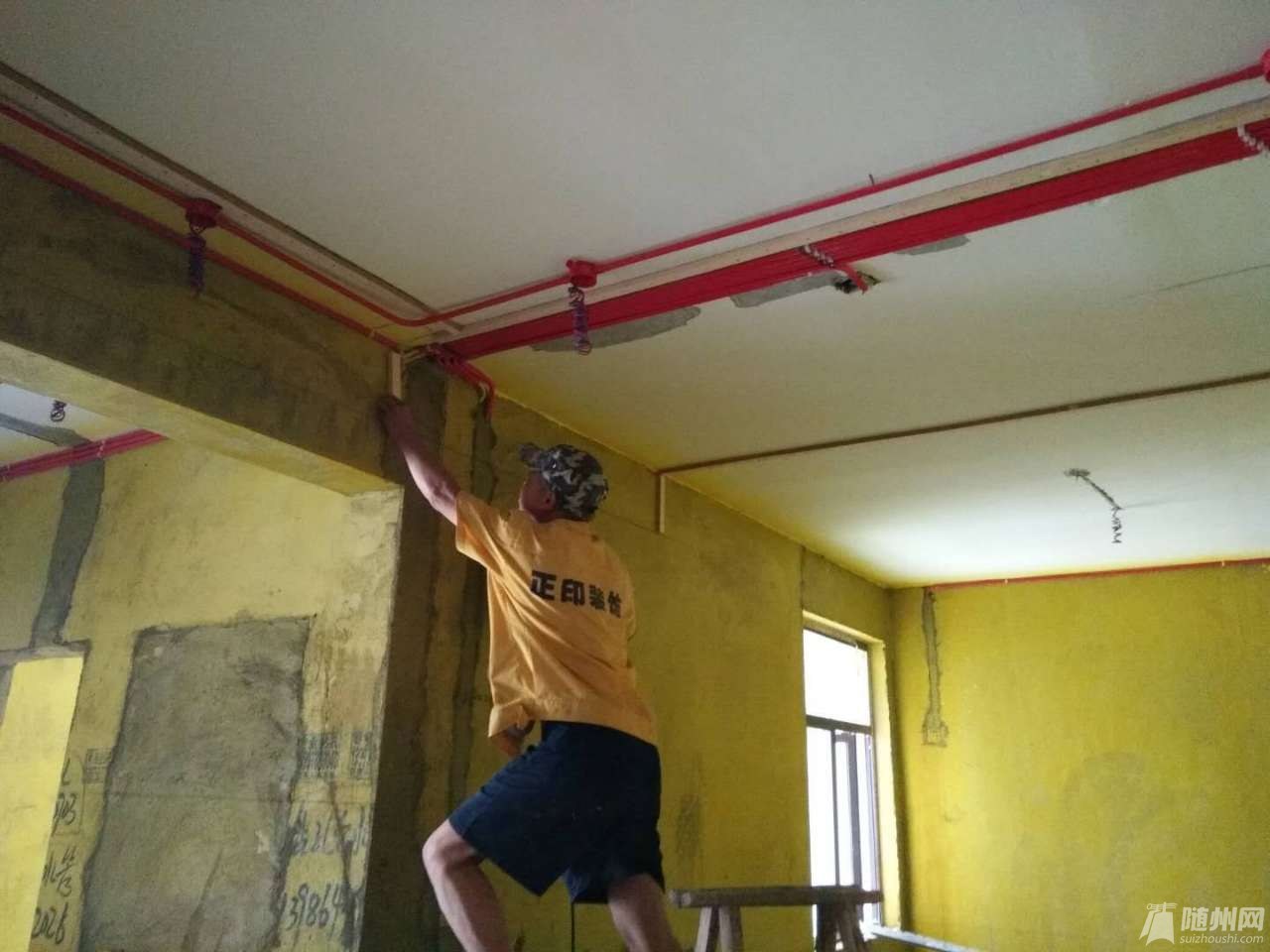 20190703_17199262_1562122759017.jpg