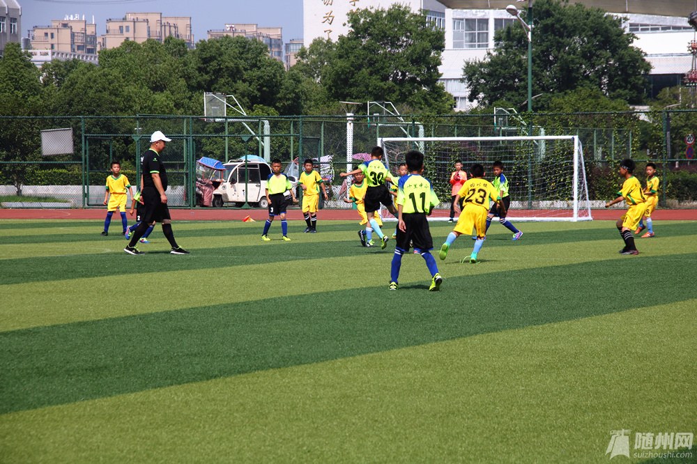 IMG_2113_.jpg
