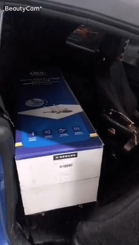 _20190708_154900[00_00_06--00_00_10].gif