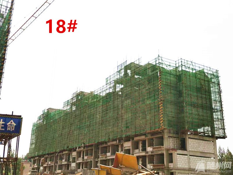 19_.jpg