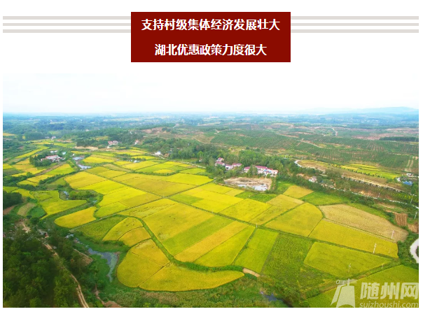 QQ浏览器截图20190722172410.png