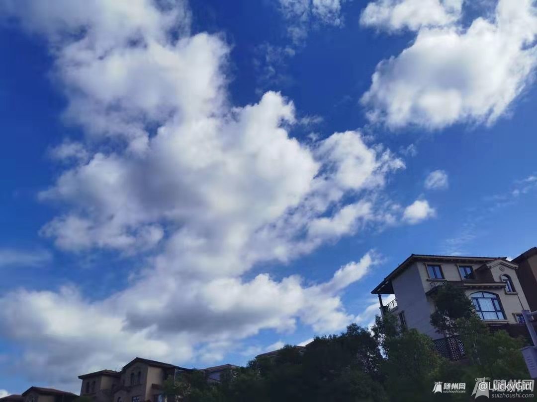 微信图片_20190824153907.jpg