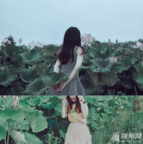 QQ截图20190826154734.png
