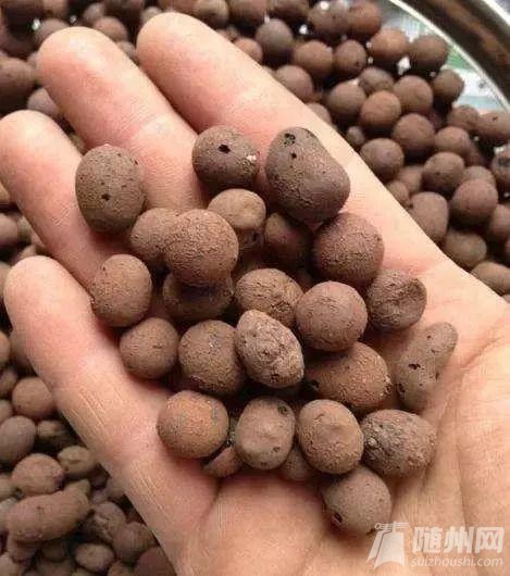 微信图片_20191113100555.jpg