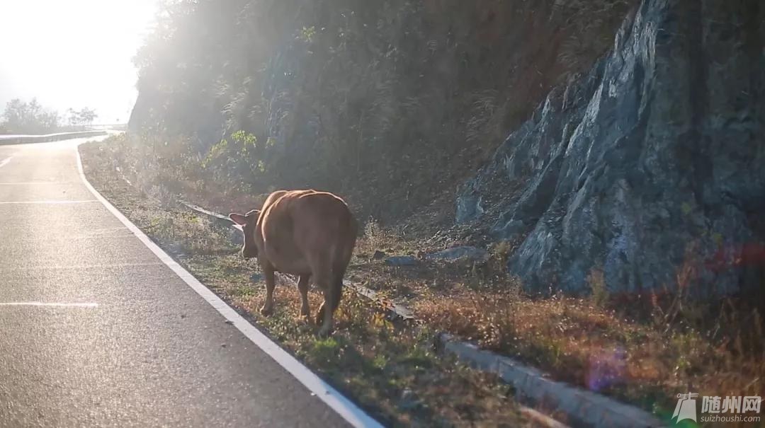 微信图片_20191113171636.jpg