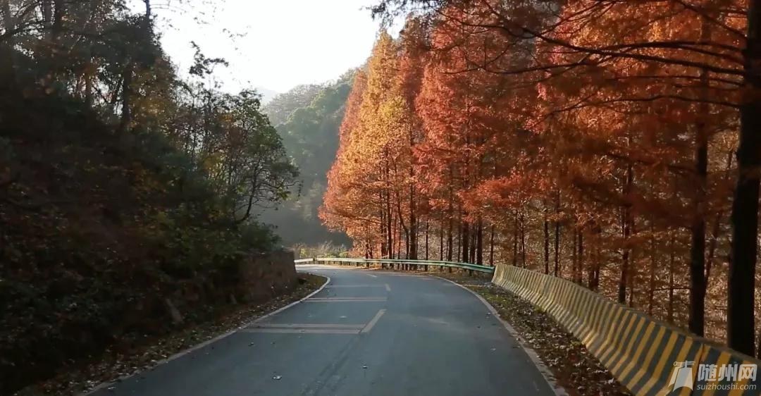 微信图片_20191113171945.jpg