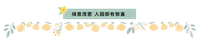 微信截图_20200417101447.png