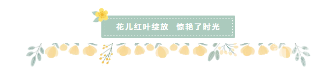 微信截图_20200417101656.png