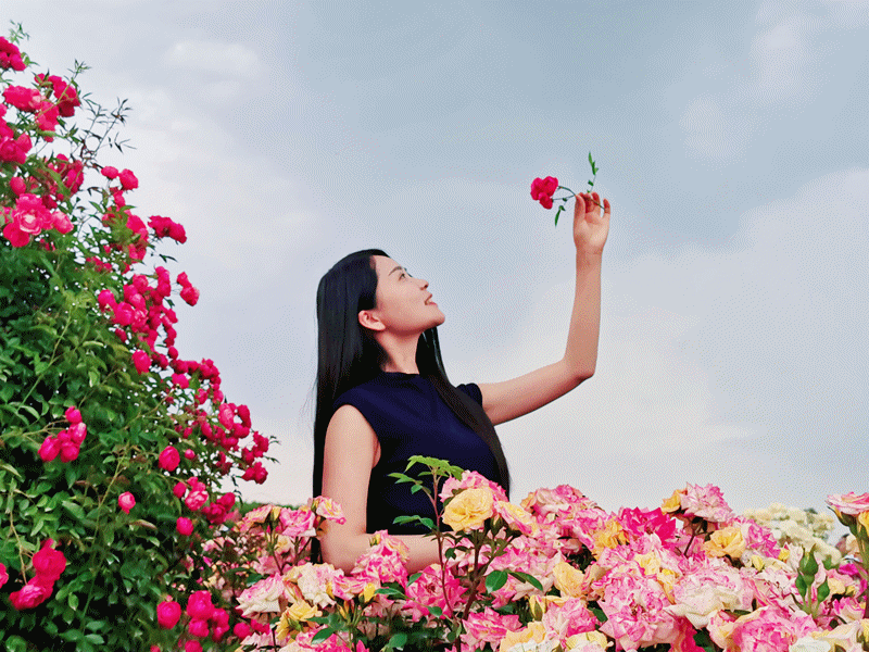 微信图片_20200507124359_副本.gif