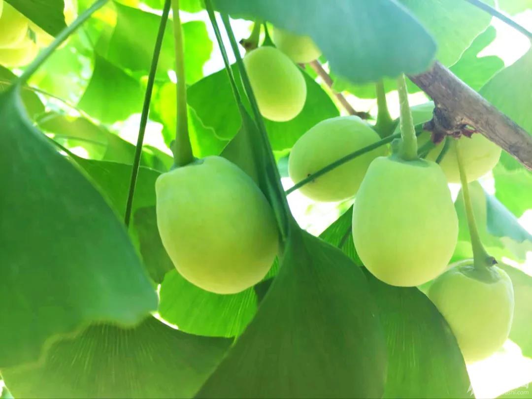 爽爆！随州的这个地方令无数游客流连忘返！随州论坛,随州孙立品,随州本地最新招聘信息