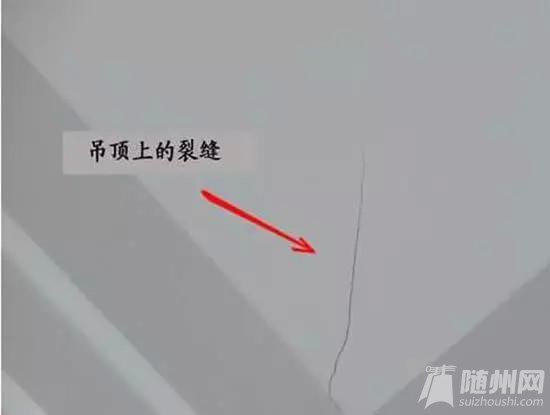 9f510fb30f2442a7373e22d9c143ad4bd113029e.jpg