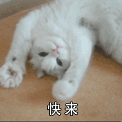 微信图片_20200715140618.gif