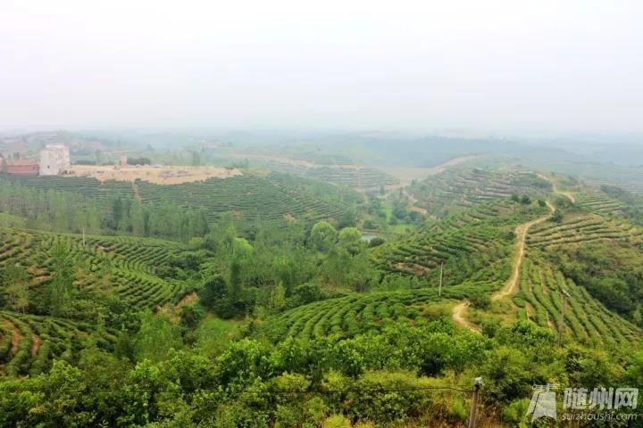 微信图片_20200825091935.jpg