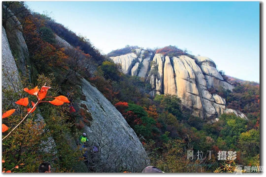 微信图片_20200825100310.jpg
