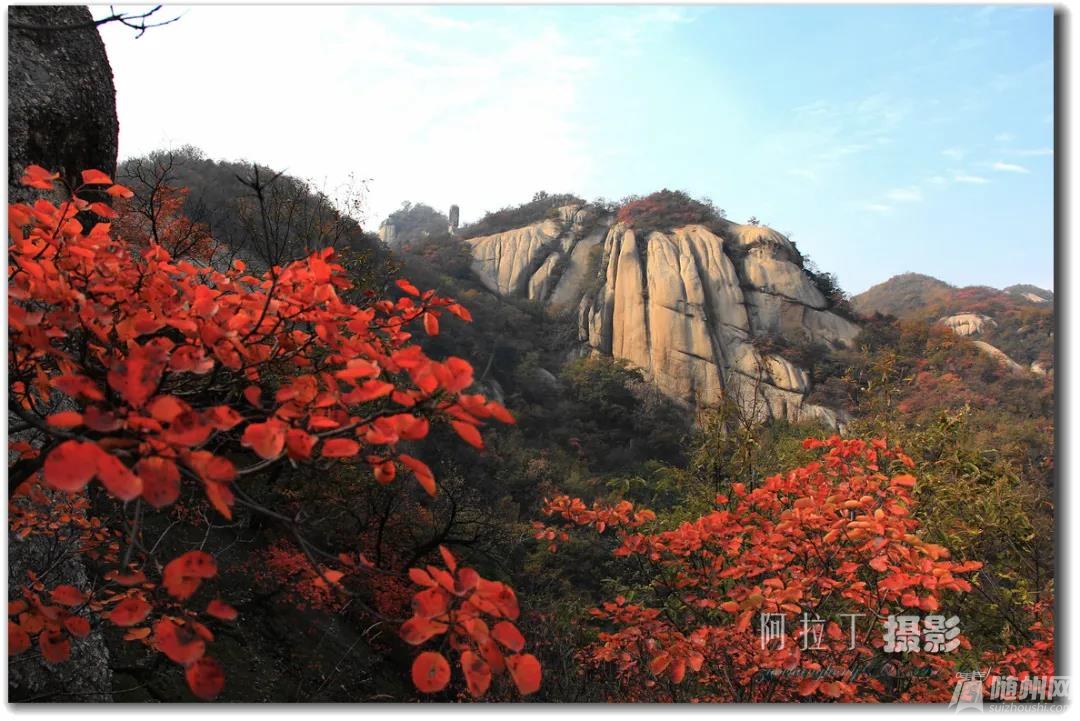 微信图片_20200825100313.jpg