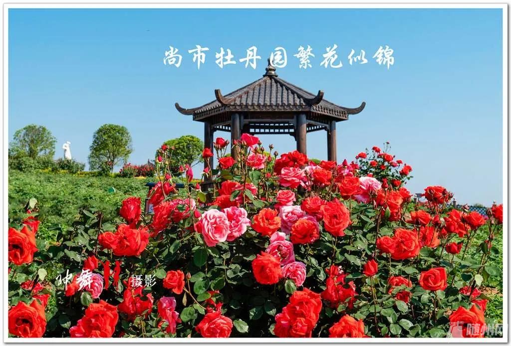 微信图片_20200825100332.jpg