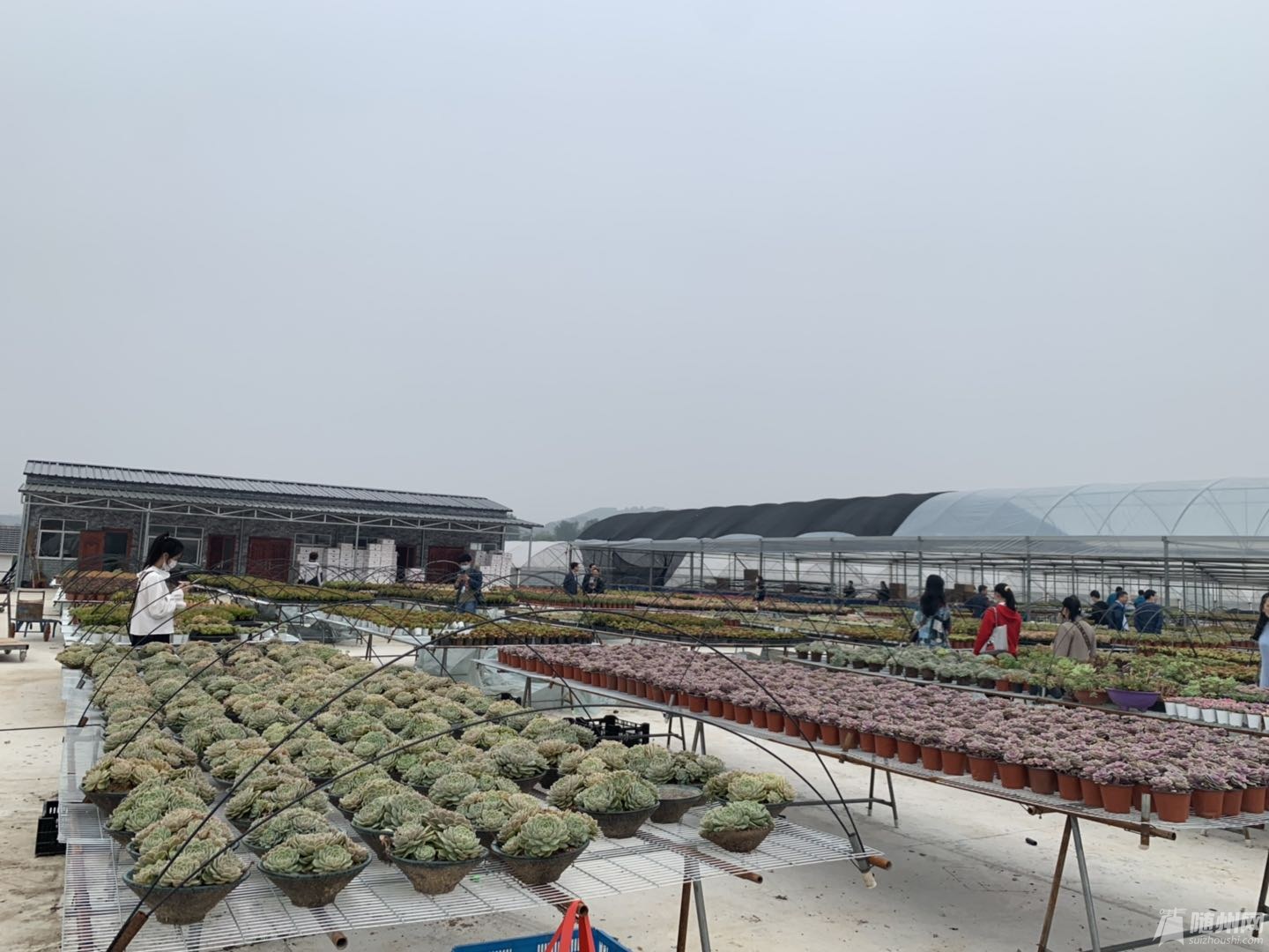 微信图片_20201014203235.jpg