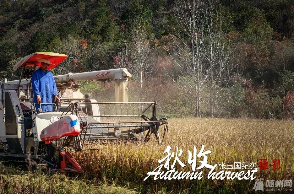 微信图片_20201103090804.jpg