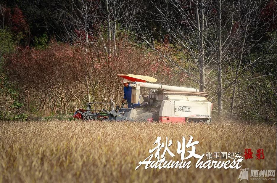 微信图片_20201103090811.jpg