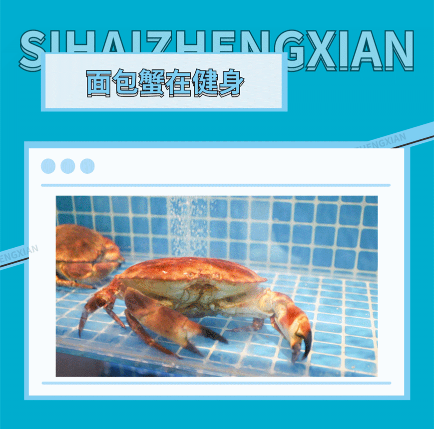 ȤζԻʲֻ-(1)_.gif