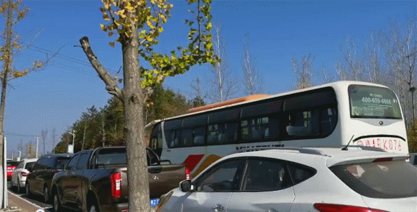 微信图片_20201114143707_副本.gif