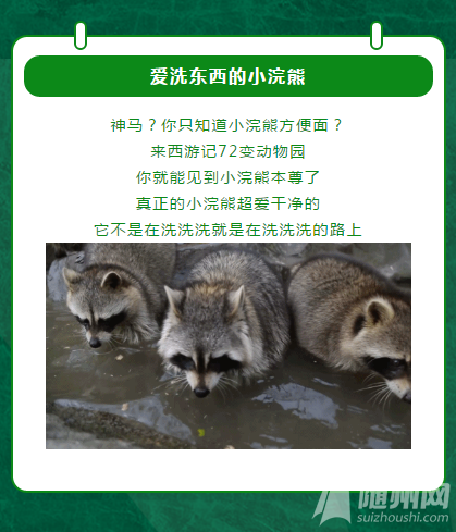 QQͼ20201116155039.png