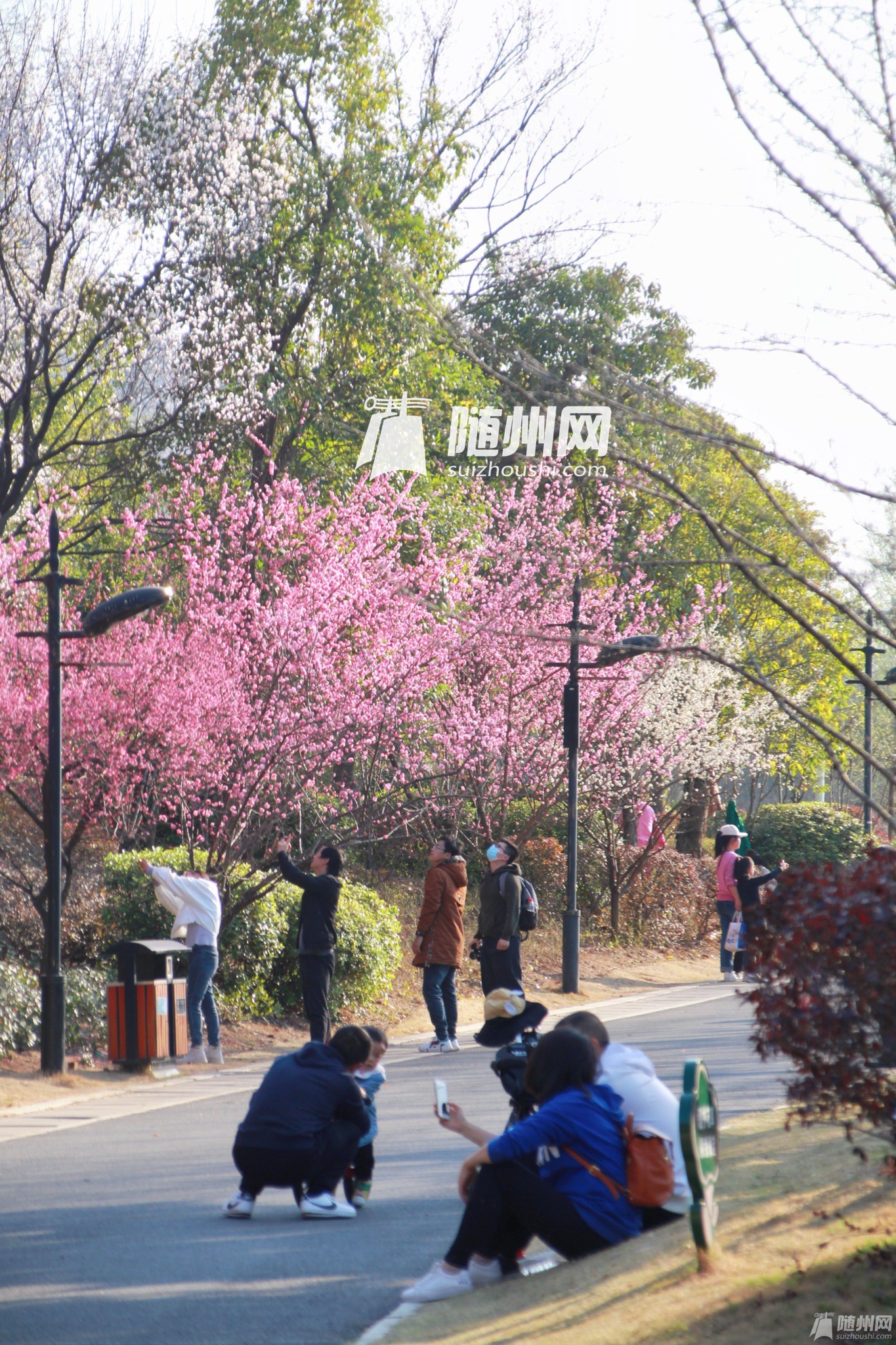 微信图片_20210222154245_副本.jpg
