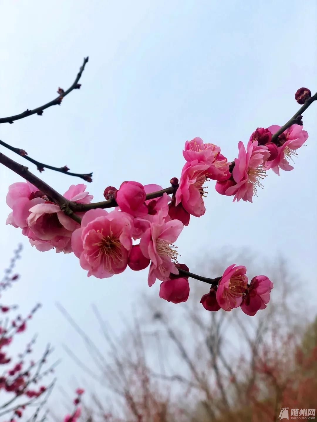 微信图片_20210224083426.jpg