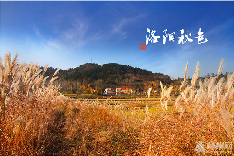 微信图片_20210228152602.png