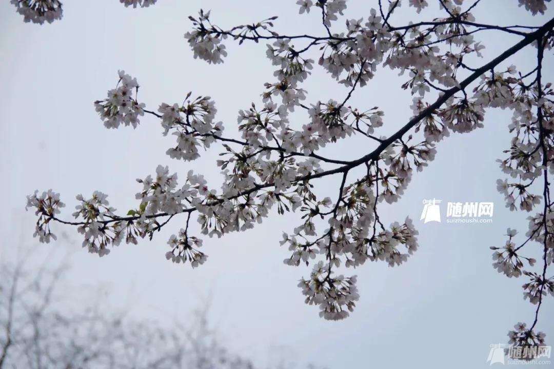 微信图片_20210325180332.jpg