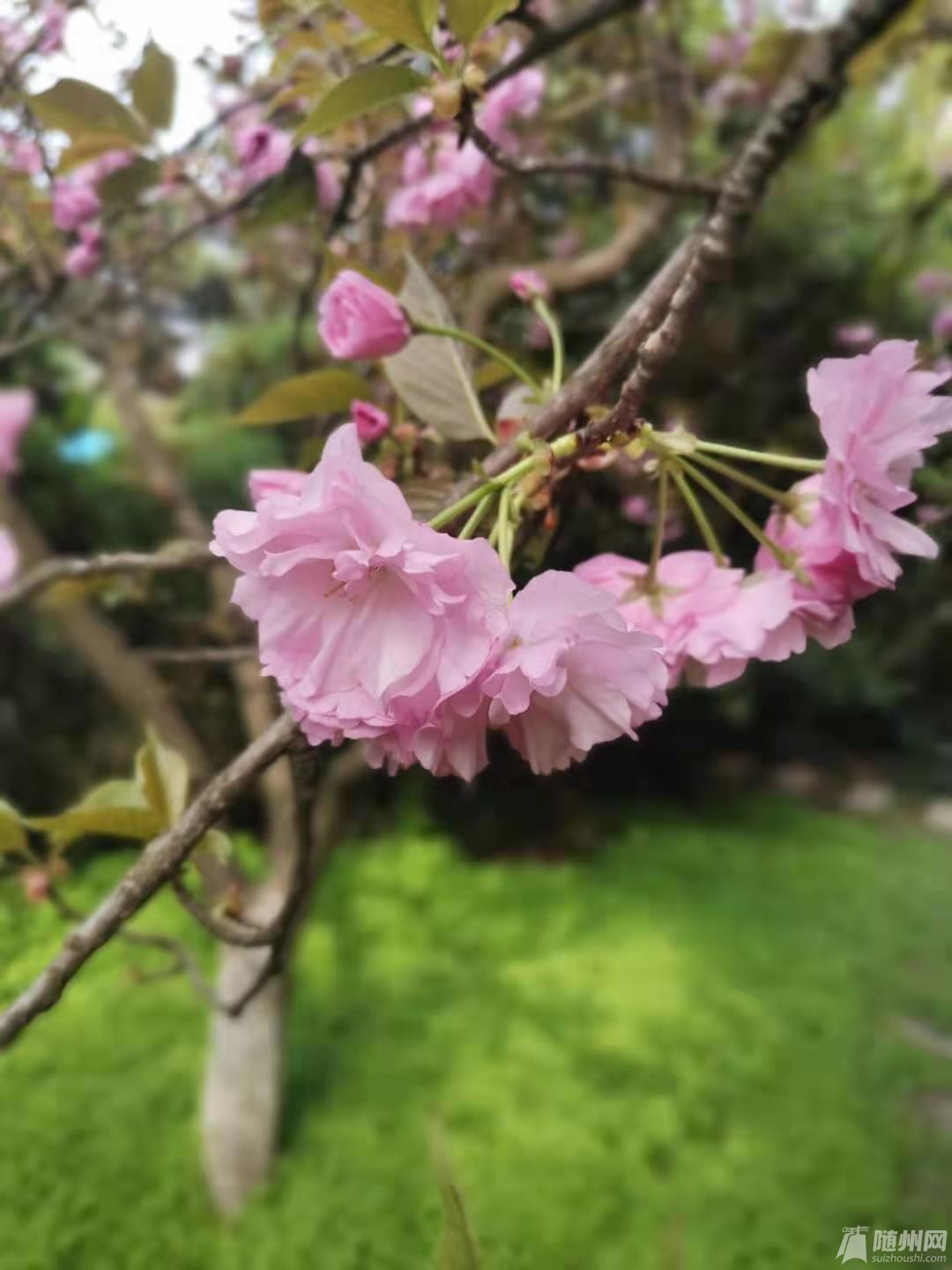 ΢ͼƬ_20210331103548.jpg