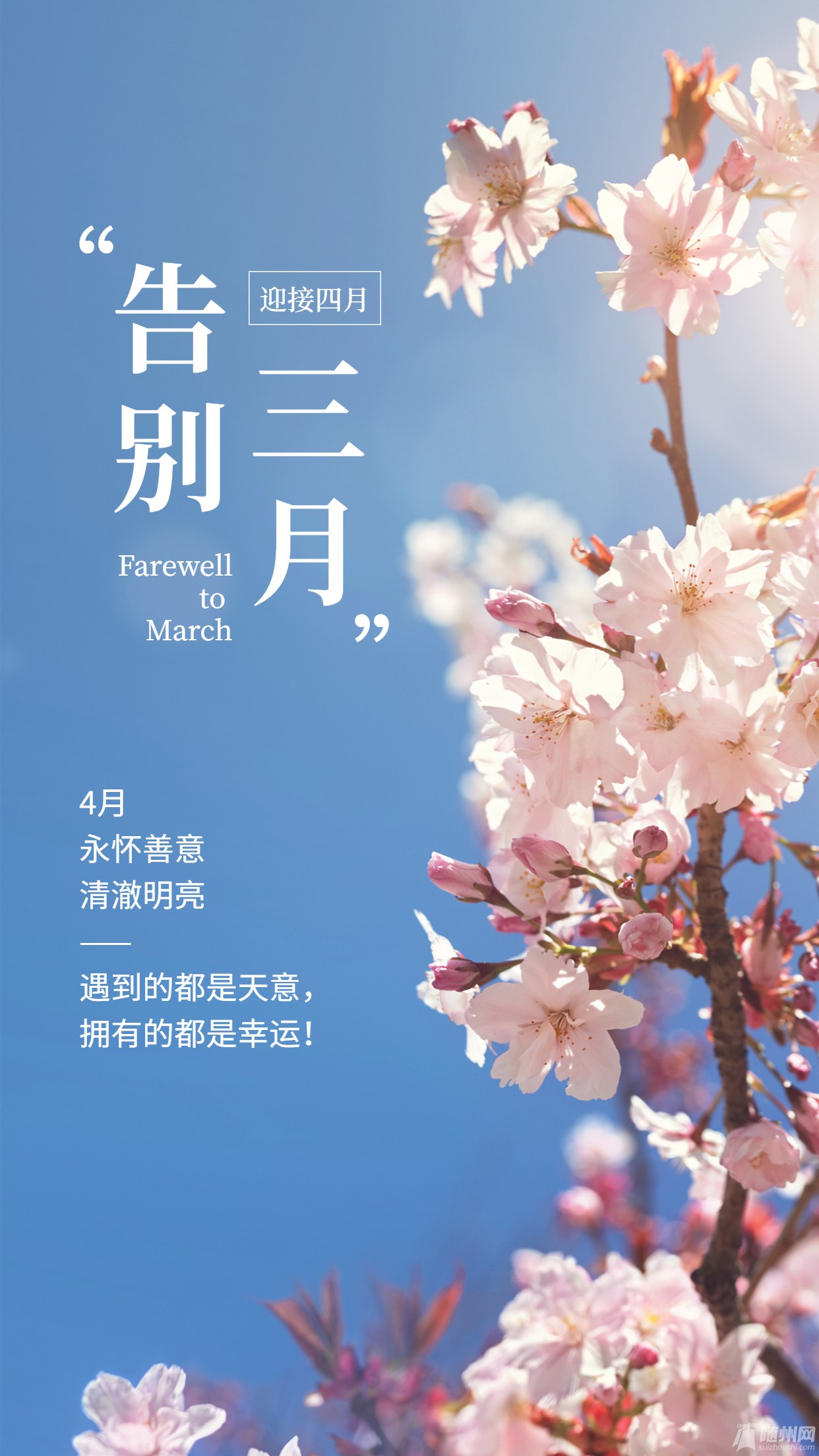 三月再见四月你好月初问候实景海报.jpg
