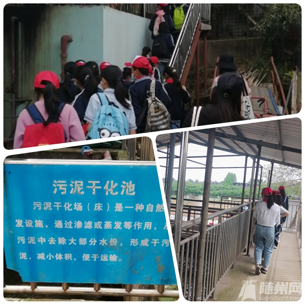 图片19.png