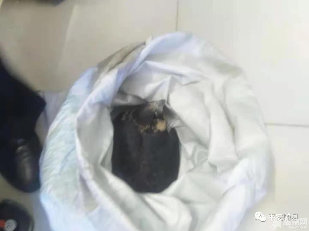 微信图片_20210527154101.jpg