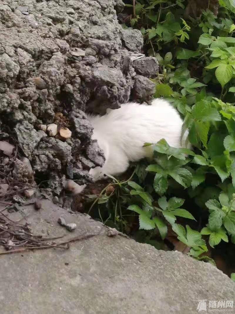 微信图片_20210616095203.jpg